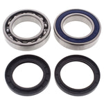 ALL BALLS CHAIN CASE BEARING & SEAL KIT (14-1065)