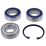 ALL BALLS CHAIN CASE BEARING & SEAL KIT (14-1077)