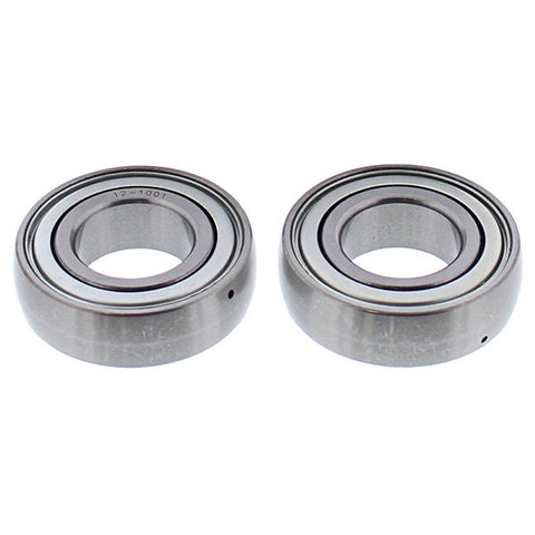 ALL BALLS CHAIN CASE BEARING & SEAL KIT (14-1078)