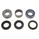 ALL BALLS CHAIN CASE BEARING & SEAL KIT (14-1084)