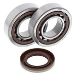 ALL BALLS CRANKSHAFT BEARING KIT (24-1106)