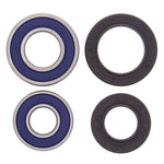 ALL BALLS WHEEL BEARING KIT (25-1035)