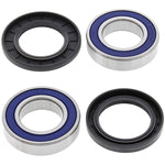 ALL BALLS WHEEL BEARING KIT (25-1109)