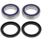 ALL BALLS WHEEL BEARING KIT (25-1132)