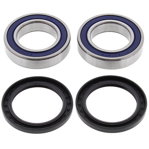 ALL BALLS WHEEL BEARING KIT (25-1132)