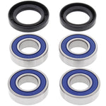 ALL BALLS WHEEL BEARING KIT (25-1381)