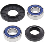 ALL BALLS WHEEL BEARING KIT (25-1421)