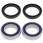 ALL BALLS WHEEL BEARING KIT (25-1445)