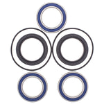 ALL BALLS WHEEL BEARING KIT (25-1560)