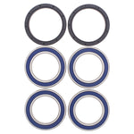 ALL BALLS WHEEL BEARING KIT (25-1565)