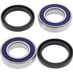 ALL BALLS WHEEL BEARING KIT (25-1579)