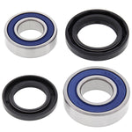 ALL BALLS WHEEL BEARING KIT (25-1613)