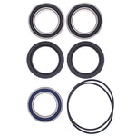 ALL BALLS WHEEL BEARING KIT (25-1620)