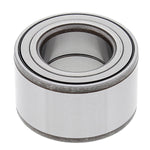 ALL BALLS WHEEL BEARING KIT (25-1717)