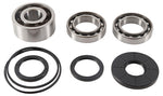 ALL BALLS DIFFERENTIAL BEARING AND SEAL KIT (25-2108)