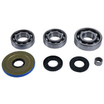 ALL BALLS DIFFERENTIAL BEARING & SEAL KIT (25-2119)
