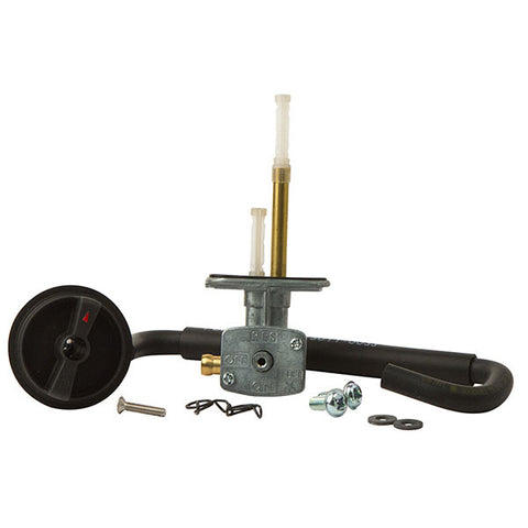 ALL BALLS FUEL VALVE KIT (FS101-0040)