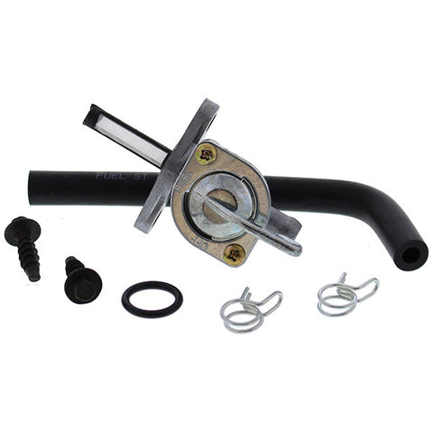 ALL BALLS FUEL VALVE KIT (FS101-0166)