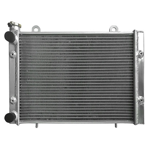 Small Atv Radiator BRONCO ATV/UTV RADIATOR (AC-10037) – GBP