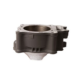 CYLINDER WORKS STANDARD BORE CYLINDER (10001)