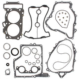 VERTEX GASKET SET & OIL SEALS (711299)