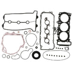 VERTEX GASKET SET & OIL SEALS (711319)