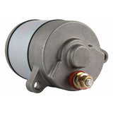 ARROWHEAD STARTER (410-54243)