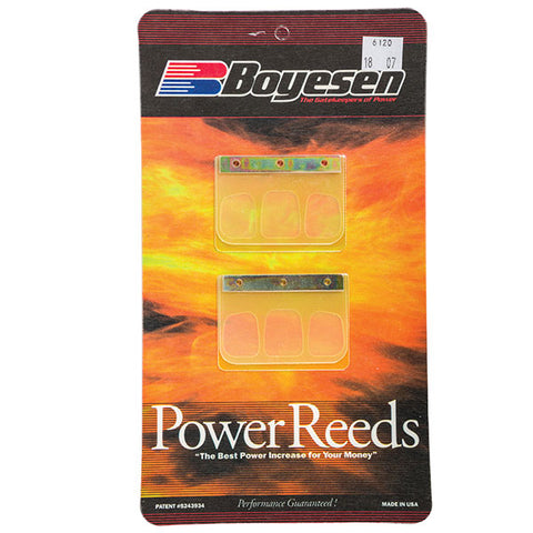 BOYESEN MOTORCYCLE POWER REED (6120)