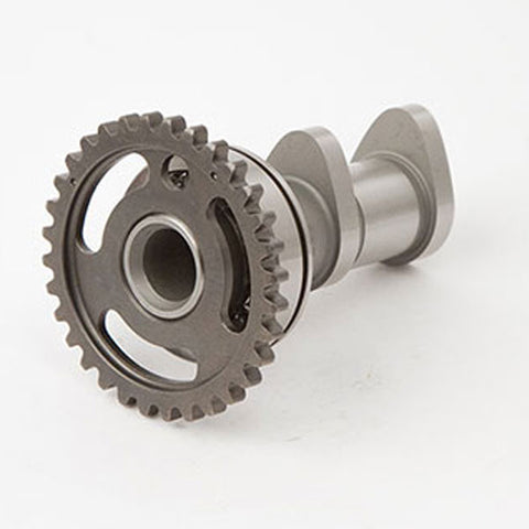 Hot Cams Camshaft Set Intake/Exhaust (2041-1IN)