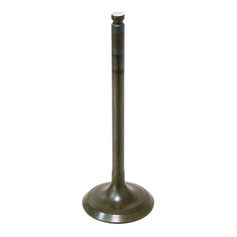 BRONCO ATV/UTV INTAKE VALVE (AU-09160I)