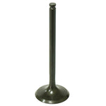 PSYCHIC EXHAUST VALVE (XU-09554E)