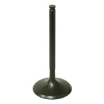 PSYCHIC INTAKE VALVE (XU-09554I)