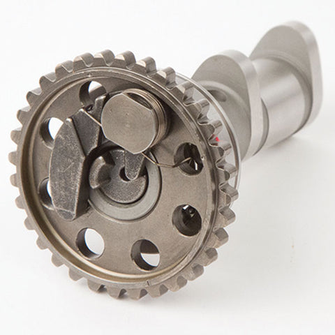 Hot Cams Camshaft Set Intake/Exhaust (4098-3E)