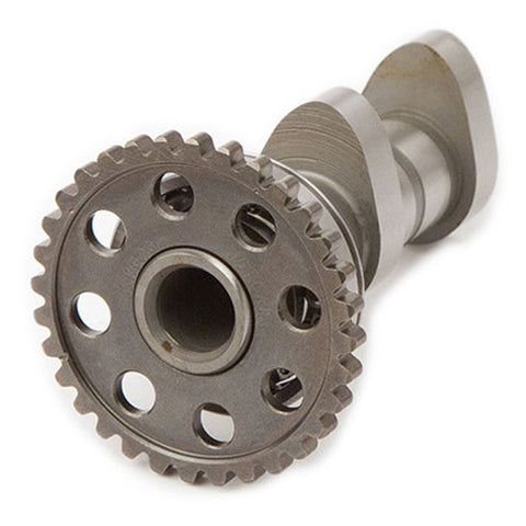 Hot Cams Camshaft Set Intake/Exhaust (4165-2IN)