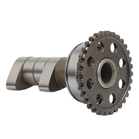 Hot Cams Camshaft Set Intake/Exhaust (HC00119)