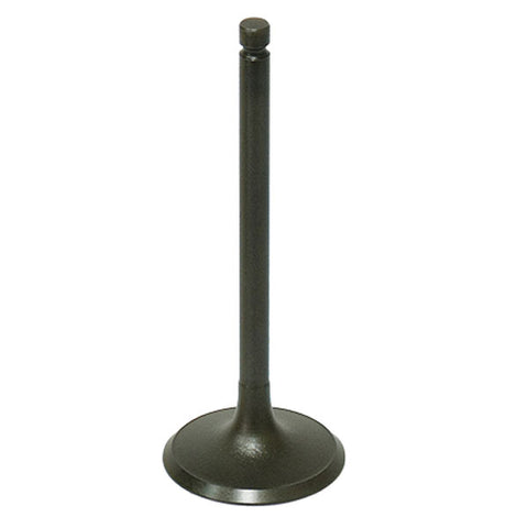 BRONCO ATV/UTV INTAKE VALVE (AU-09191I)