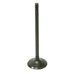 BRONCO ATV/UTV INTAKE VALVE (AU-09195I)