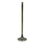 BRONCO ATV/UTV INTAKE VALVE (AU-09214I)