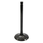 BRONCO ATV/UTV INTAKE VALVE (AU-09000I)