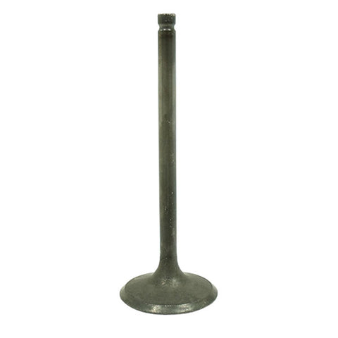 BRONCO ATV/UTV INTAKE VALVE (AU-09215I)