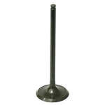 PSYCHIC INTAKE VALVE (XU-09508I-1)