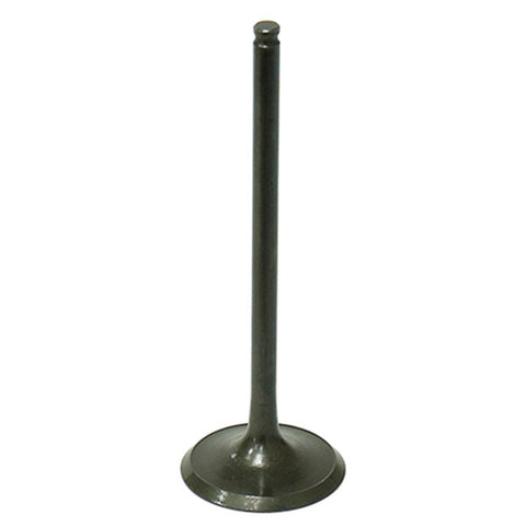 PSYCHIC INTAKE VALVE (XU-09508I-1)
