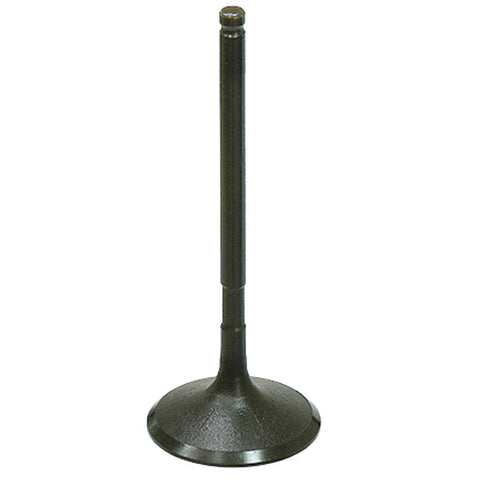 BRONCO ATV/UTV INTAKE VALVE (AU-09205I)