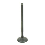 BRONCO ATV/UTV INTAKE VALVE (AU-09209I)