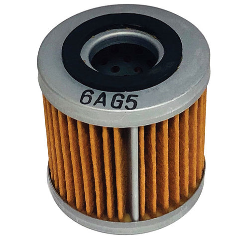 EMGO OIL FILTER (10-26963)