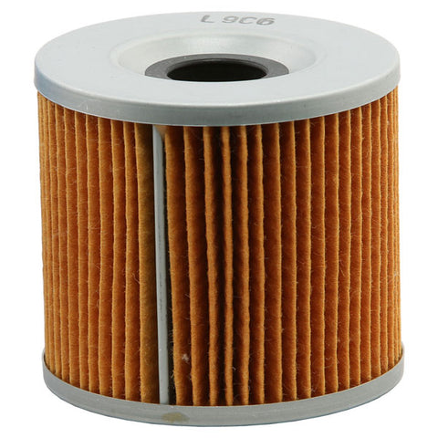 EMGO OIL FILTER (10-29800)