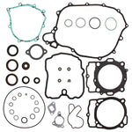 VERTEX GASKET SET & OIL SEALS (811369)