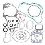 VERTEX GASKET SET & OIL SEALS (811583)