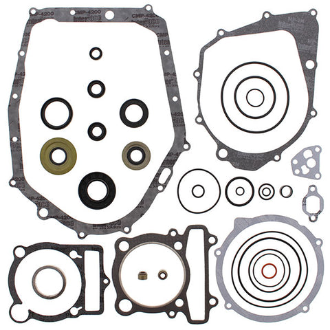 VERTEX GASKET SET & OIL SEALS (811813)