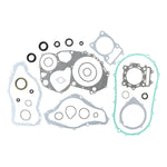 VERTEX GASKET SET & OIL SEALS (811839)